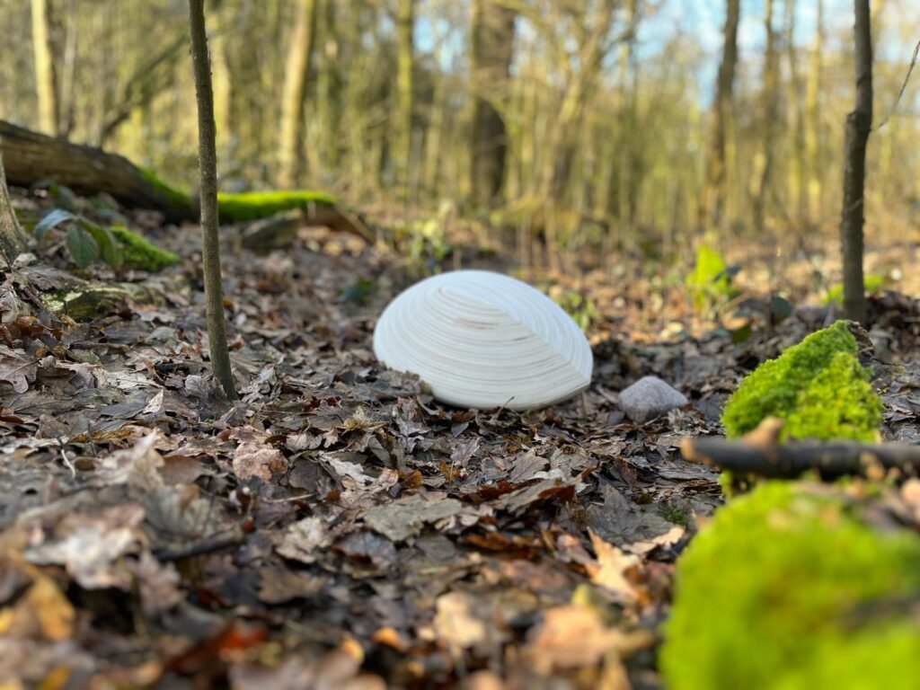 PHOTO-2024-02-05-20-17-00 10