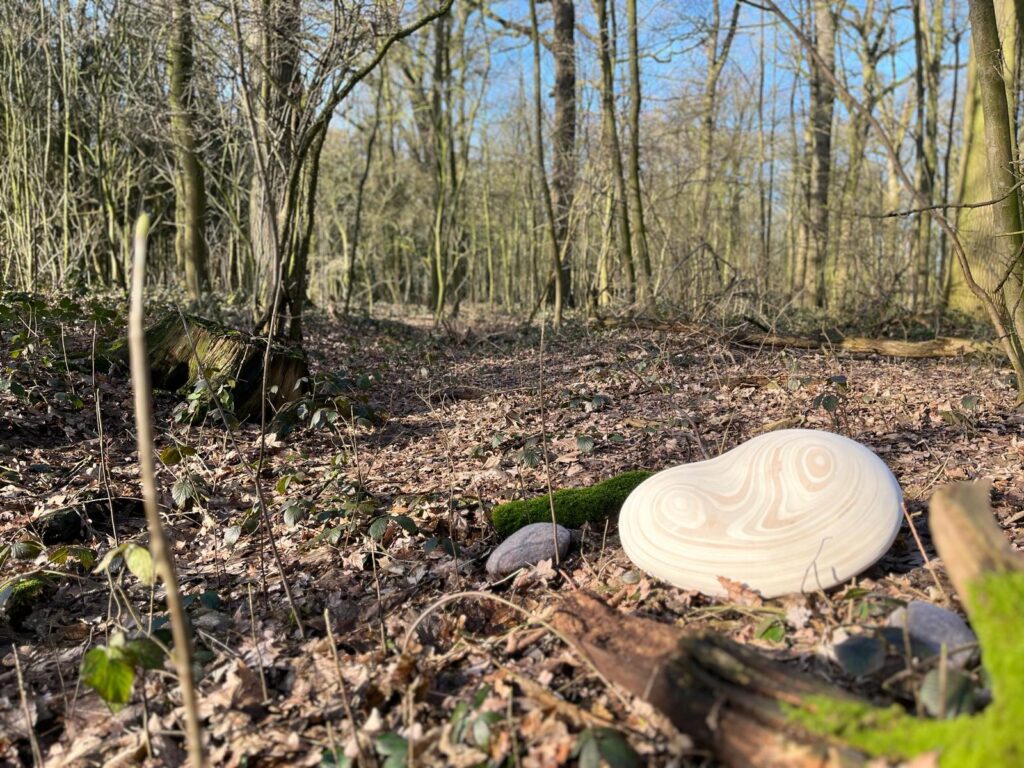 PHOTO-2024-02-05-20-17-00 5