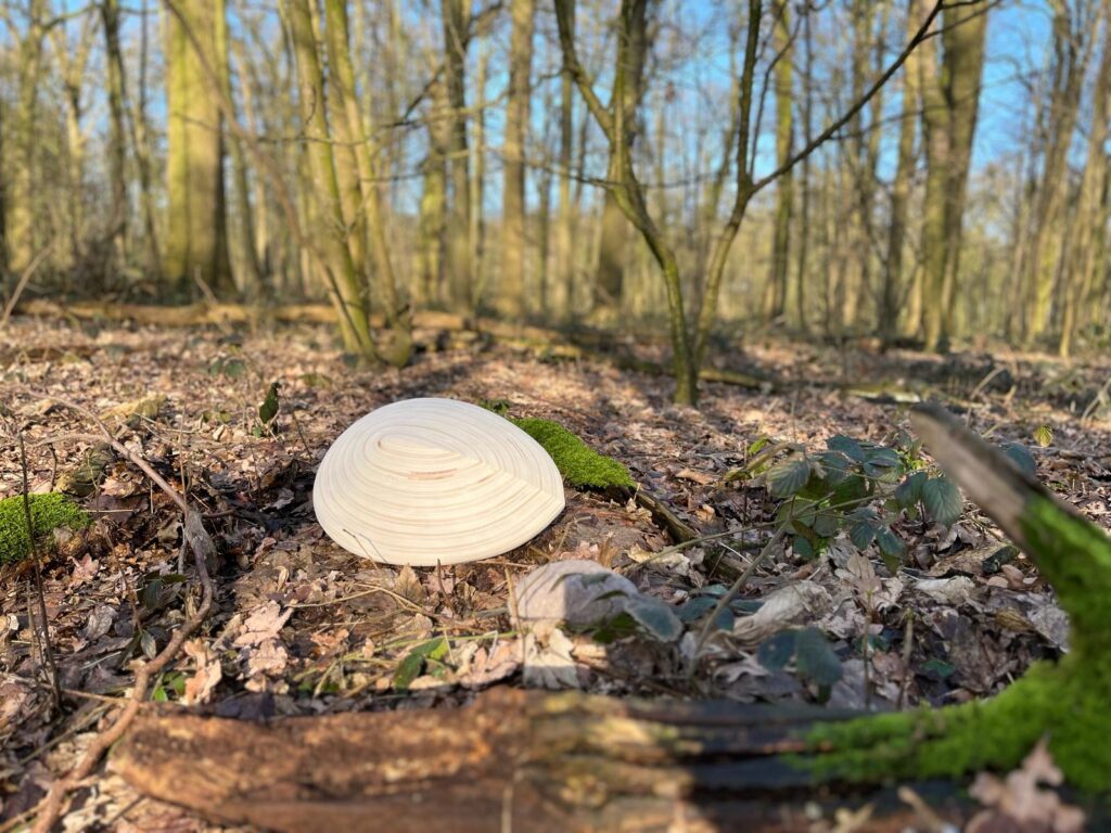 PHOTO-2024-02-05-20-17-00 7